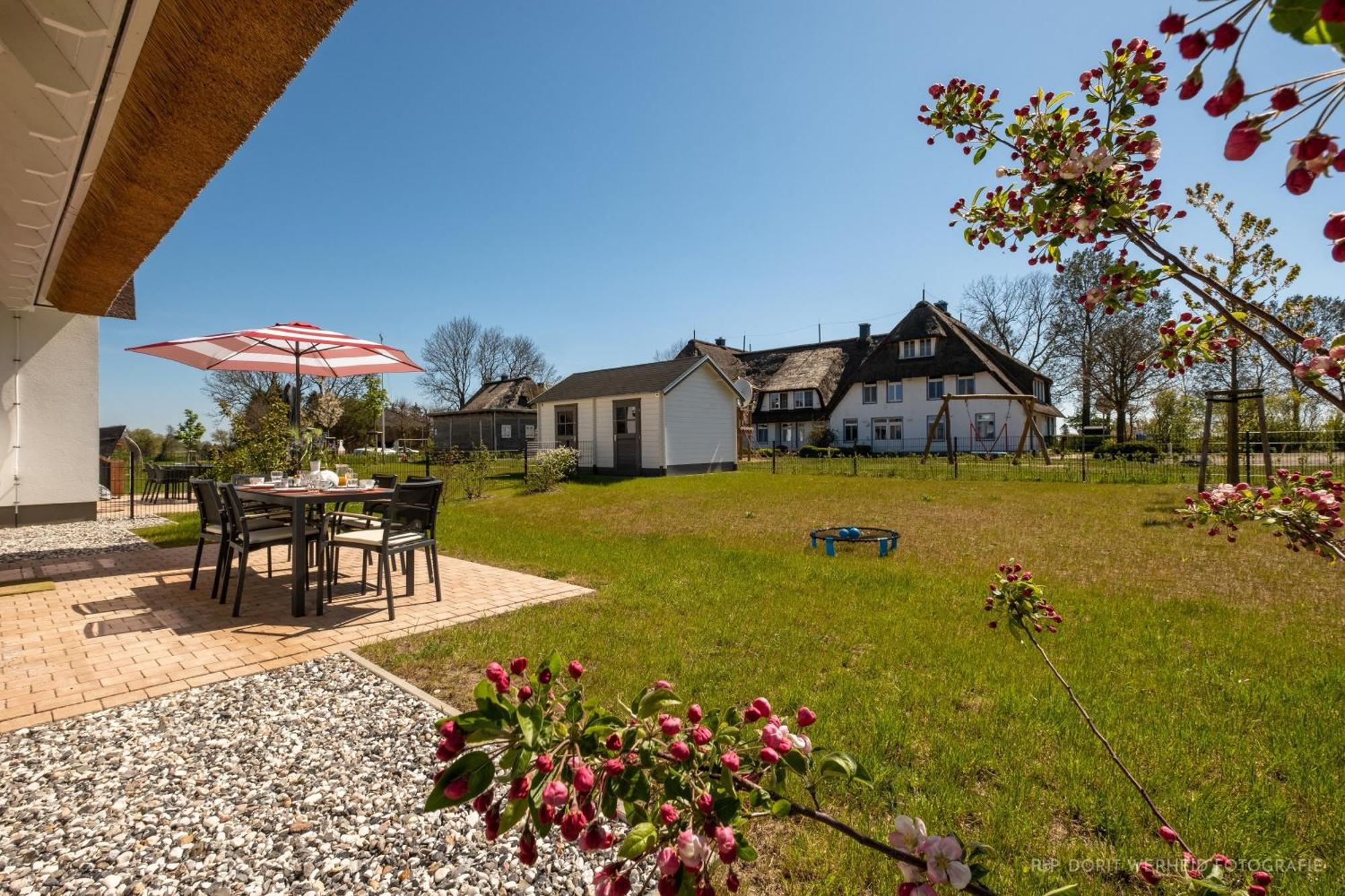 Вилла Inseldomizil Stolpe - Urlaub Unter Reet Auf Usedom Stolpe auf Usedom Экстерьер фото