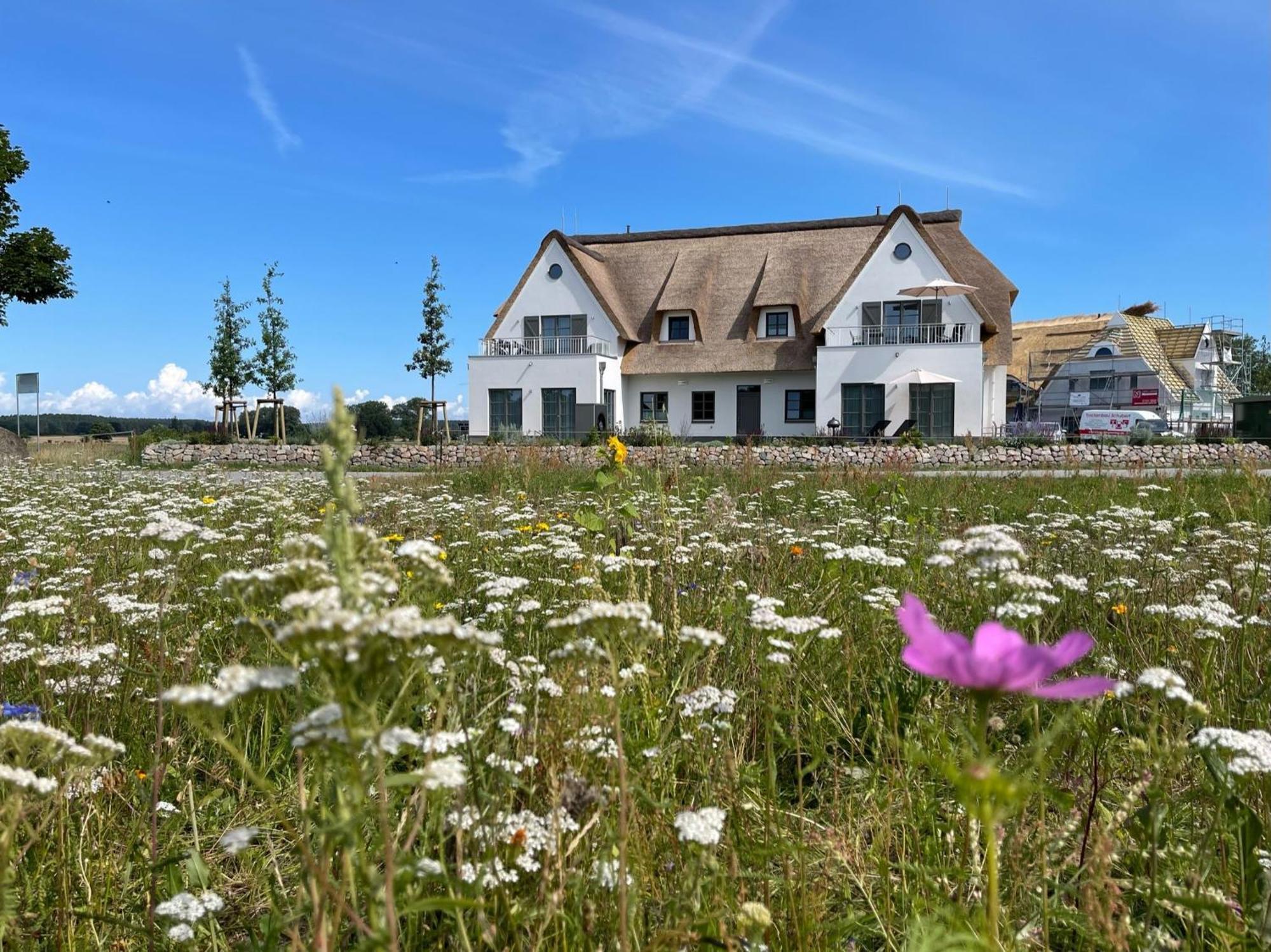 Вилла Inseldomizil Stolpe - Urlaub Unter Reet Auf Usedom Stolpe auf Usedom Экстерьер фото